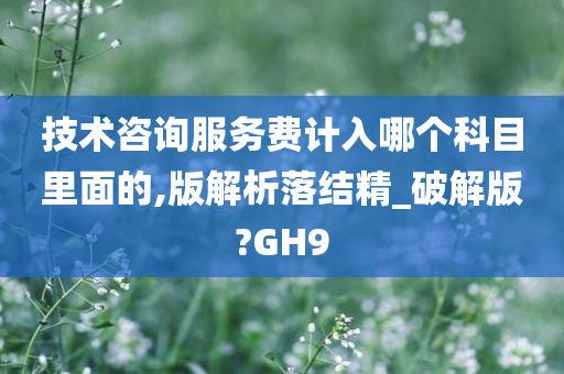 技术咨询服务费计入哪个科目里面的,版解析落结精_破解版?GH9