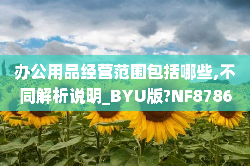 办公用品经营范围包括哪些,不同解析说明_BYU版?NF8786