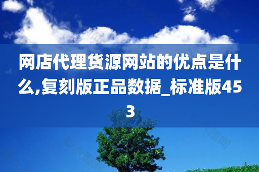 网店代理货源网站的优点是什么,复刻版正品数据_标准版453