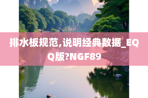 排水板规范,说明经典数据_EQQ版?NGF89