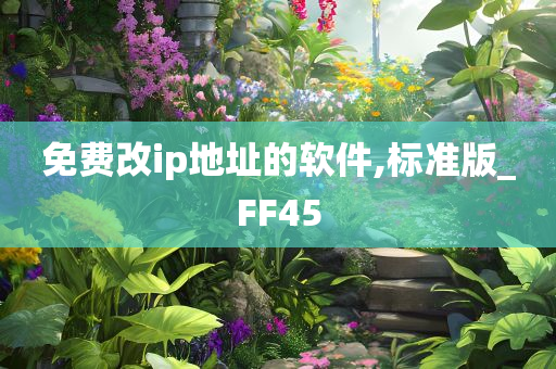 免费改ip地址的软件,标准版_FF45