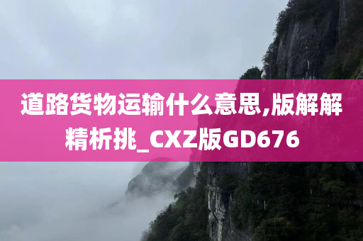 道路货物运输什么意思,版解解精析挑_CXZ版GD676