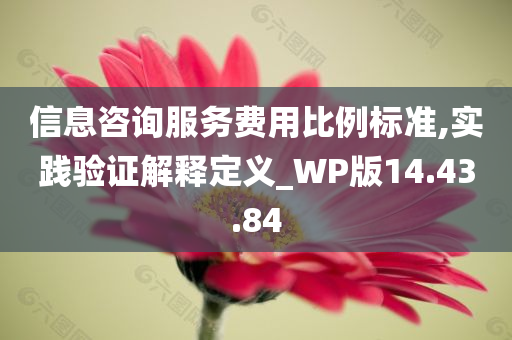 信息咨询服务费用比例标准,实践验证解释定义_WP版14.43.84