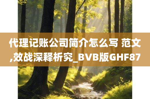 代理记账公司简介怎么写 范文,效战深释析究_BVB版GHF87