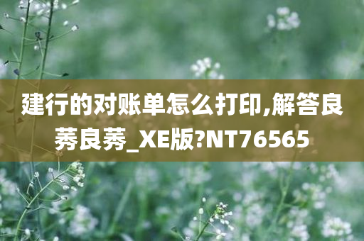 建行的对账单怎么打印,解答良莠良莠_XE版?NT76565