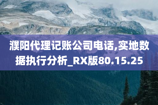 濮阳代理记账公司电话,实地数据执行分析_RX版80.15.25