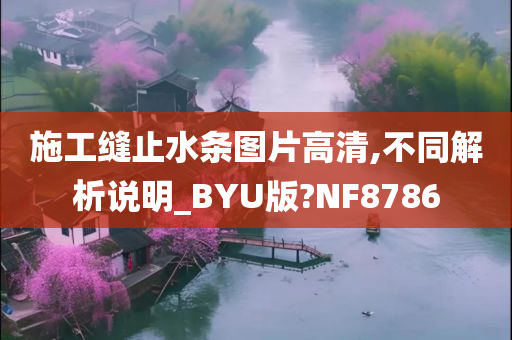 施工缝止水条图片高清,不同解析说明_BYU版?NF8786