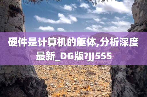 硬件是计算机的躯体,分析深度最新_DG版?JJ555