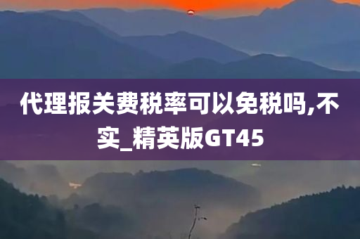 代理报关费税率可以免税吗,不实_精英版GT45