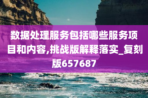 数据处理服务包括哪些服务项目和内容,挑战版解释落实_复刻版657687