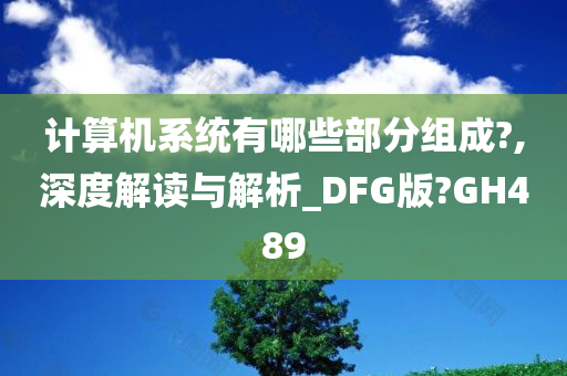 计算机系统有哪些部分组成?,深度解读与解析_DFG版?GH489