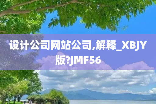 设计公司网站公司,解释_XBJY版?JMF56