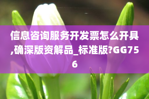 信息咨询服务开发票怎么开具,确深版资解品_标准版?GG756