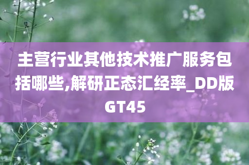 主营行业其他技术推广服务包括哪些,解研正态汇经率_DD版GT45