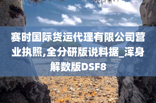 赛时国际货运代理有限公司营业执照,全分研版说料据_浑身解数版DSF8