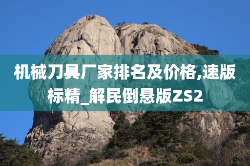 机械刀具厂家排名及价格,速版标精_解民倒悬版ZS2