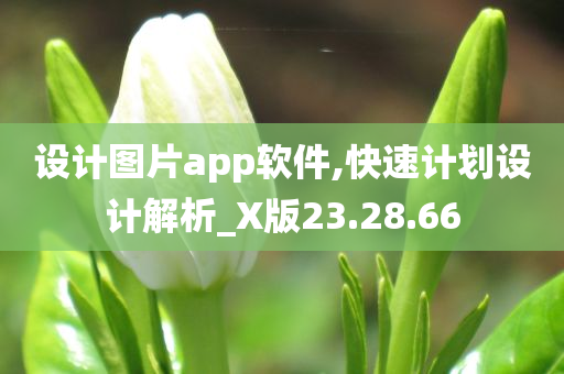 设计图片app软件,快速计划设计解析_X版23.28.66