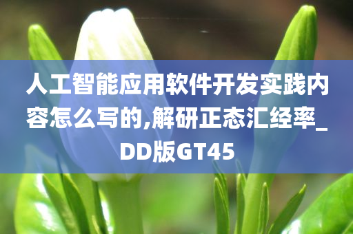 人工智能应用软件开发实践内容怎么写的,解研正态汇经率_DD版GT45