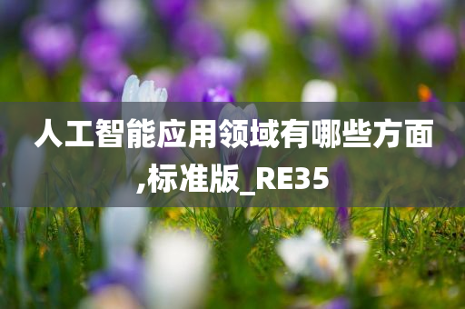 人工智能应用领域有哪些方面,标准版_RE35