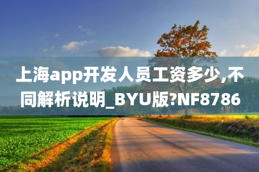 上海app开发人员工资多少,不同解析说明_BYU版?NF8786