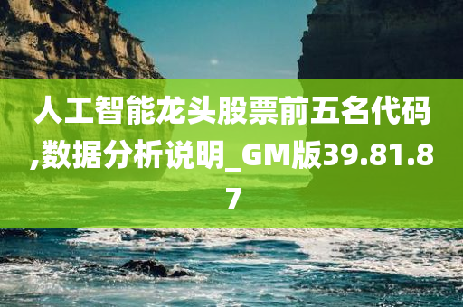 人工智能龙头股票前五名代码,数据分析说明_GM版39.81.87