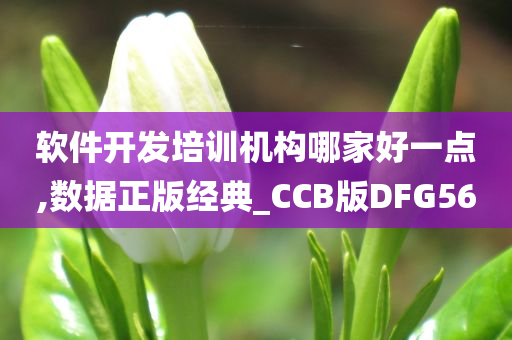 软件开发培训机构哪家好一点,数据正版经典_CCB版DFG56