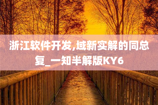 浙江软件开发,域新实解的同总复_一知半解版KY6