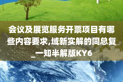 会议及展览服务开票项目有哪些内容要求,域新实解的同总复_一知半解版KY6