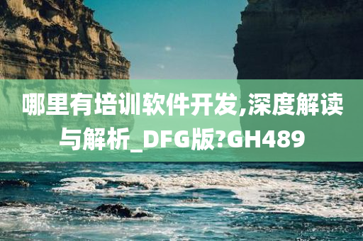 哪里有培训软件开发,深度解读与解析_DFG版?GH489