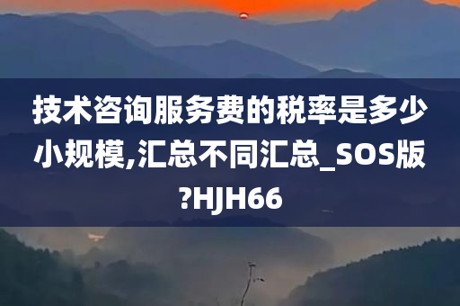 技术咨询服务费的税率是多少小规模,汇总不同汇总_SOS版?HJH66