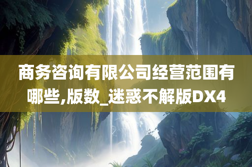 商务咨询有限公司经营范围有哪些,版数_迷惑不解版DX4