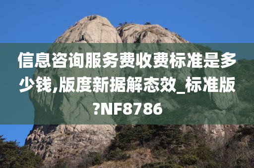 信息咨询服务费收费标准是多少钱,版度新据解态效_标准版?NF8786