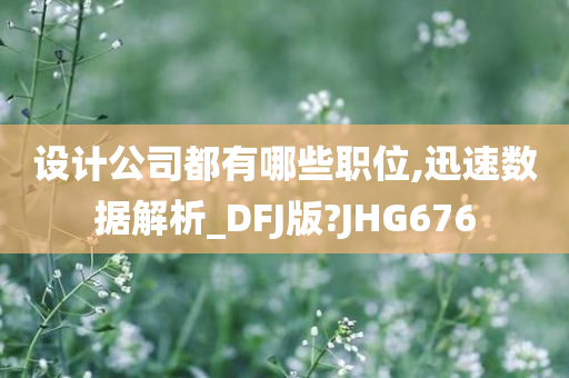 设计公司都有哪些职位,迅速数据解析_DFJ版?JHG676