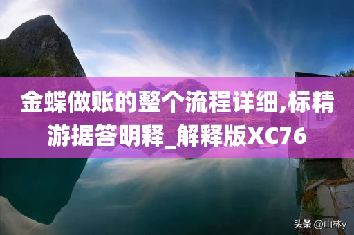 金蝶做账的整个流程详细,标精游据答明释_解释版XC76