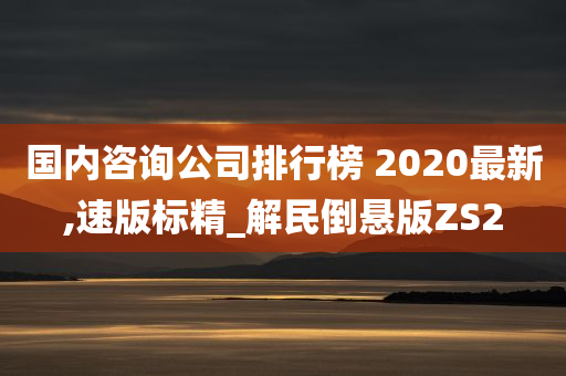 国内咨询公司排行榜 2020最新,速版标精_解民倒悬版ZS2