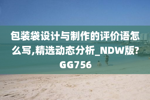 包装袋设计与制作的评价语怎么写,精选动态分析_NDW版?GG756