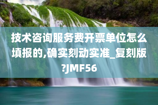 技术咨询服务费开票单位怎么填报的,确实刻动实准_复刻版?JMF56