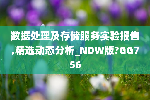 数据处理及存储服务实验报告,精选动态分析_NDW版?GG756