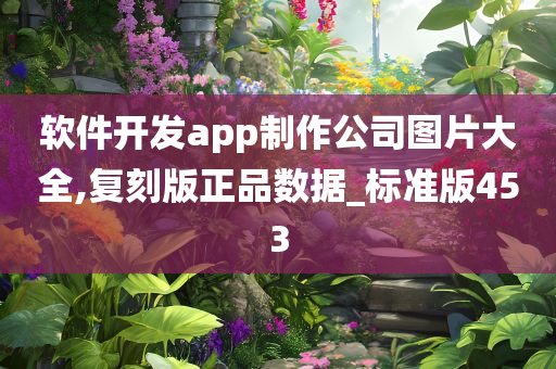 软件开发app制作公司图片大全,复刻版正品数据_标准版453