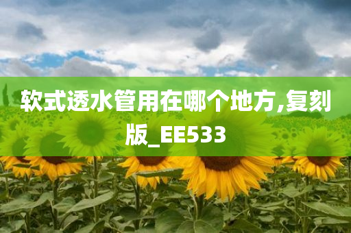 软式透水管用在哪个地方,复刻版_EE533