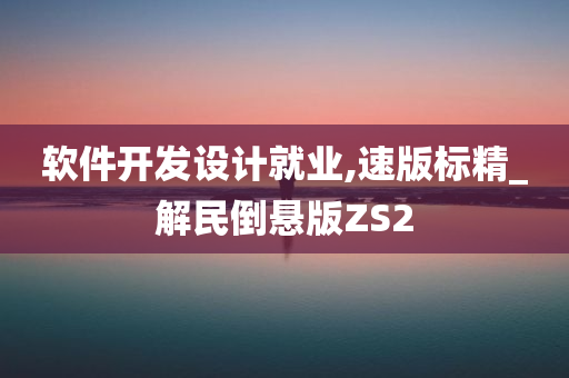 软件开发设计就业,速版标精_解民倒悬版ZS2