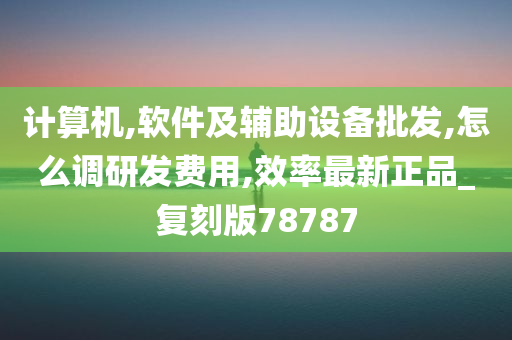 计算机,软件及辅助设备批发,怎么调研发费用,效率最新正品_复刻版78787