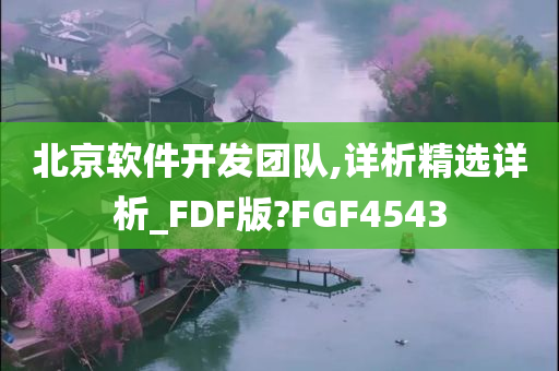 北京软件开发团队,详析精选详析_FDF版?FGF4543