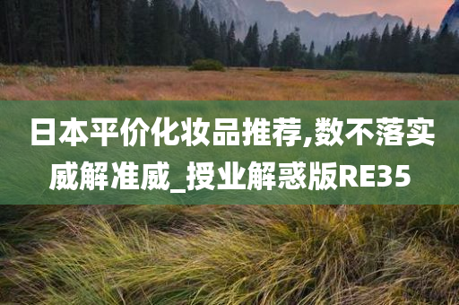 日本平价化妆品推荐,数不落实威解准威_授业解惑版RE35