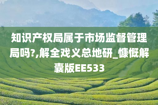 知识产权局属于市场监督管理局吗?,解全戏义总地研_慷慨解囊版EE533