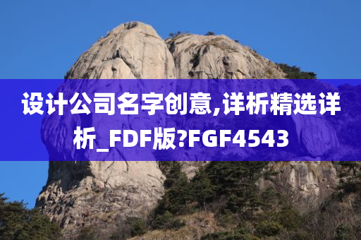 设计公司名字创意,详析精选详析_FDF版?FGF4543