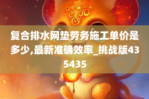 复合排水网垫劳务施工单价是多少,最新准确效率_挑战版435435