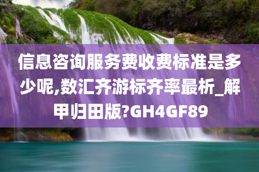 信息咨询服务费收费标准是多少呢,数汇齐游标齐率最析_解甲归田版?GH4GF89