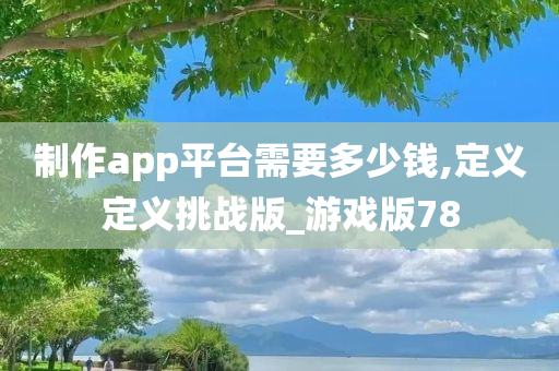 制作app平台需要多少钱,定义定义挑战版_游戏版78