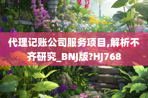 代理记账公司服务项目,解析不齐研究_BNJ版?HJ768